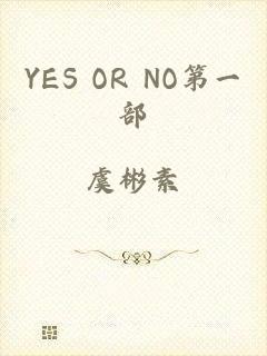 YES OR NO第一部